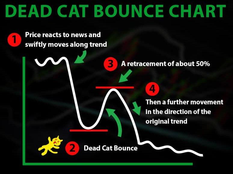 Źródło: https://speedtrader.com/