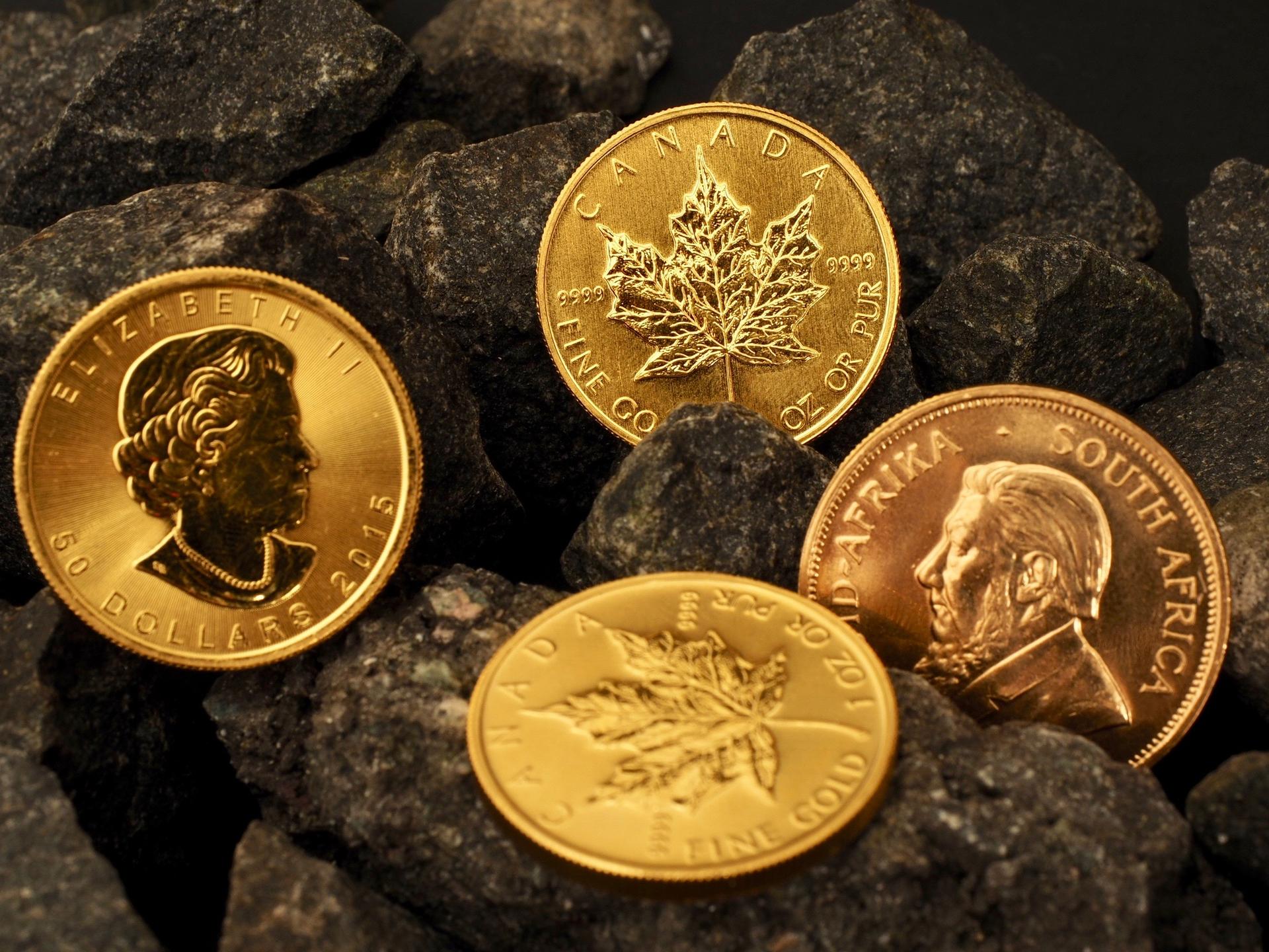 Zdjęcie: Joanna Wójcicka