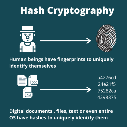 Source: https://hive.blog/education/@dblockchainblog/hash-cryptography-part-1-understanding-sha256-usage