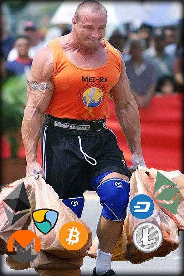 Source: https://news.bitcoin.com/the-top-50-crypto-memes-of-all-time/