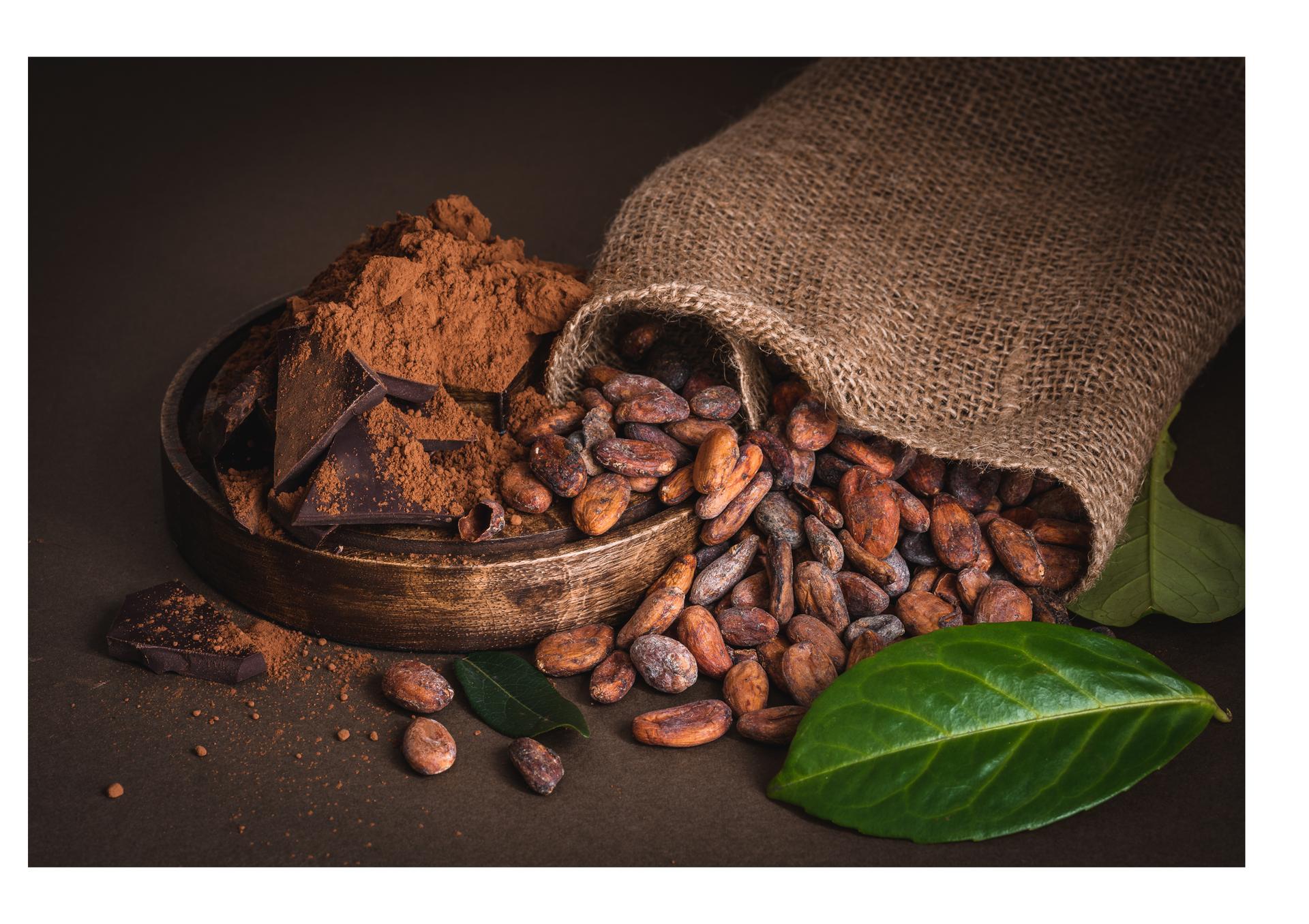 Zdjęcie: Joanna Wójcicka