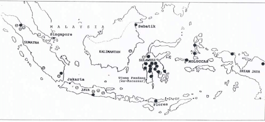 Indonezyjskie uprawy drzew kakaowca. Źródło: F. Ruf, Y. Cirad,Indonesia cocoa sector assessment How to help Indonesian cocoa farmers to re-invest in cocoa?, 2014