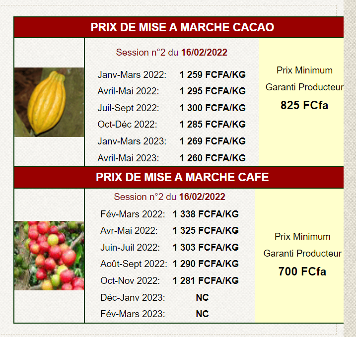 na Wybrzezu kosci Słoniowej. Zrzut ekranu z dnia 16 lutego 2022 r. Źródło: http://www.conseilcafecacao.ci/