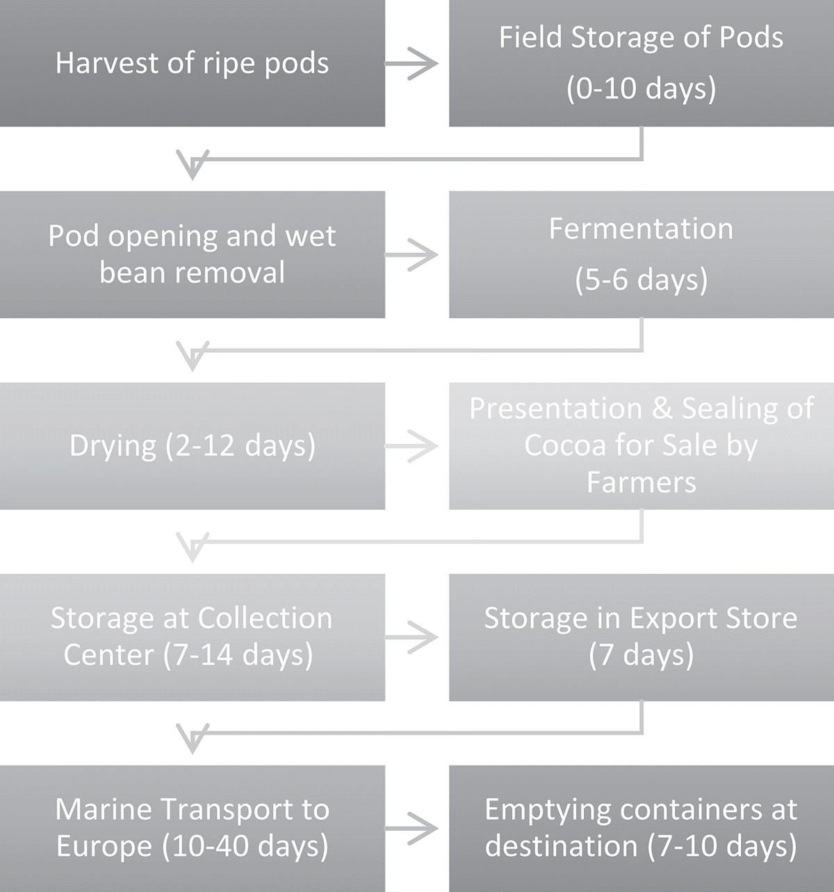 Wykres transportowy dla ziaren kakaowca. Źródło: https://www.tandfonline.com/doi/full/10.1080/23311975.2020.1778894#