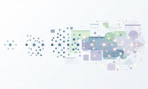 KryptoLandia - Historia WEB-a